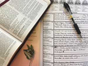 Reverent Road to Sunday: A Daily Journal for Developing Habits in the Liturgical Year - Thy Olive Tree